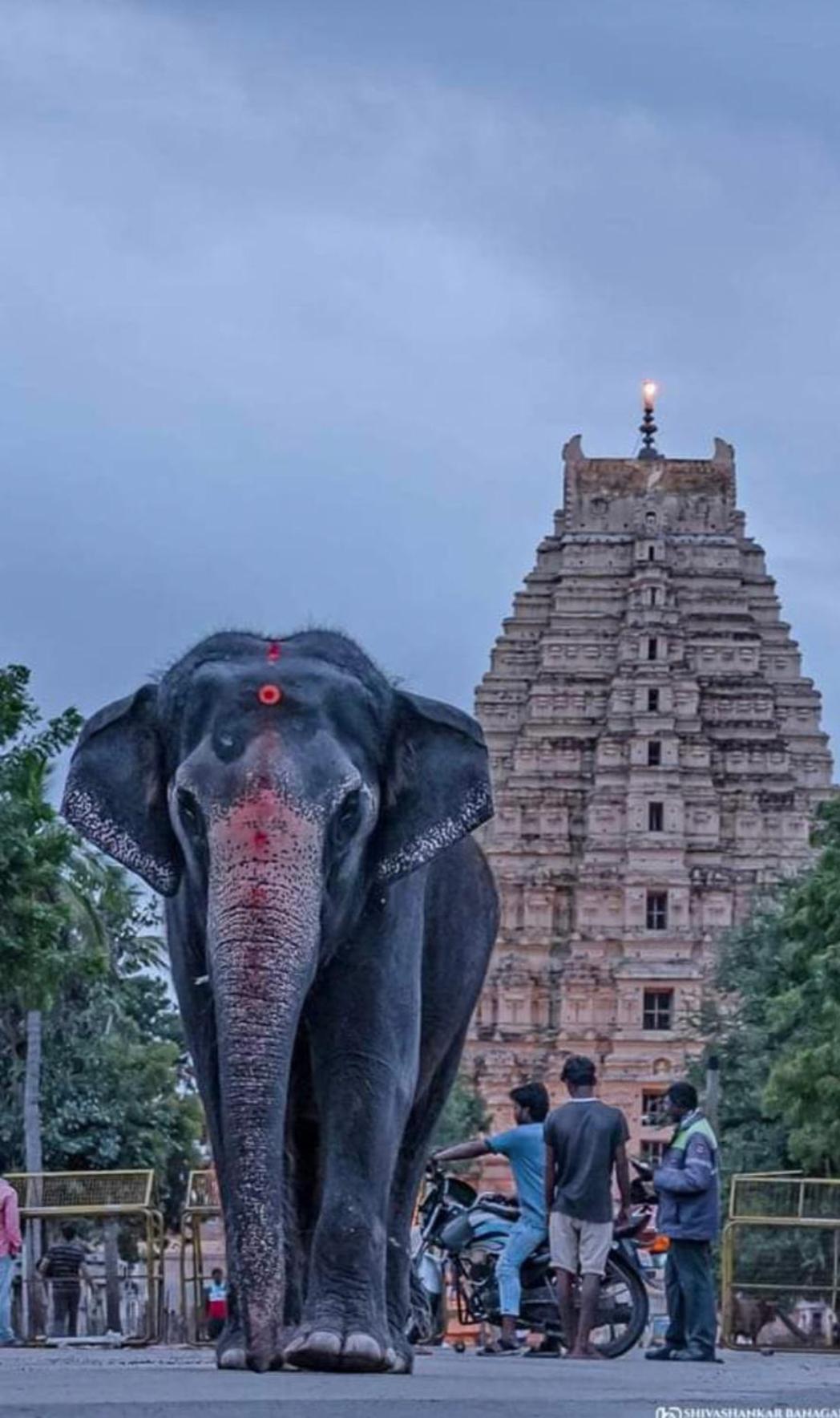 Sai Ram Home Stay Hampi Dış mekan fotoğraf